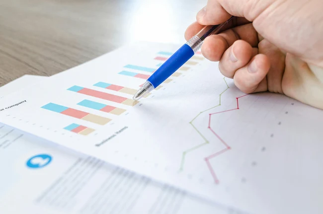 Cashflow y previsión mensual​